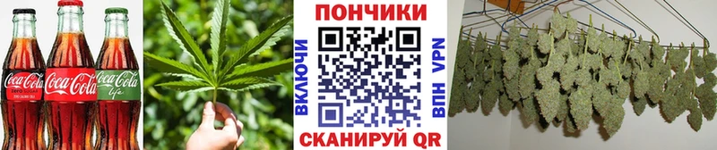 Canna-Cookies марихуана  Медвежьегорск 