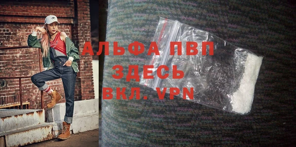 сатива Куйбышев