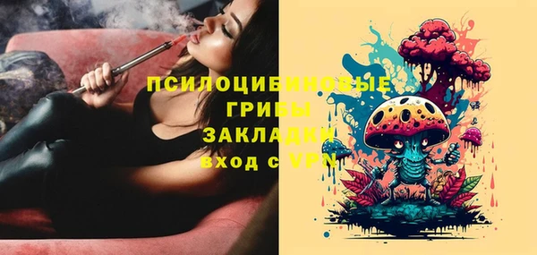 тгк Кукмор