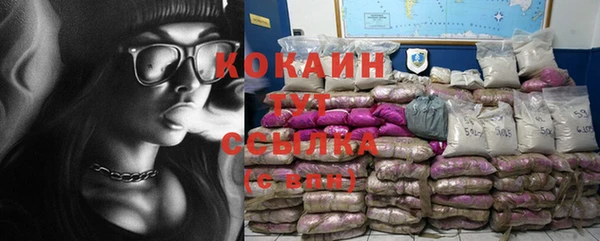 сатива Куйбышев